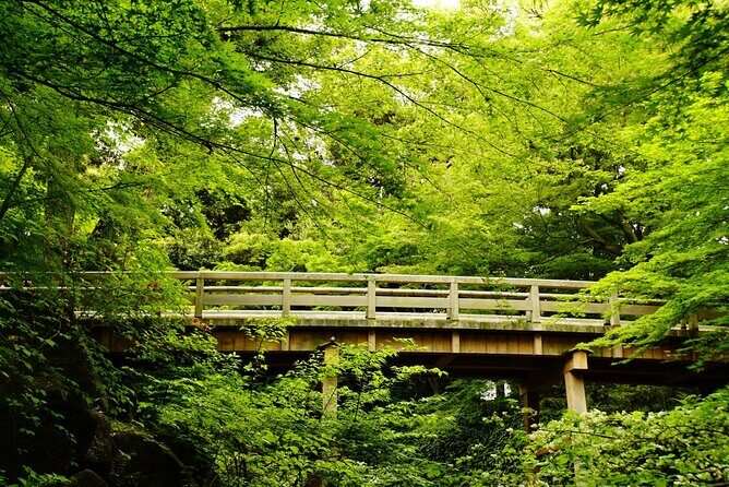Nagoya: Exploring the Beauty of Tokugawa-en Garden - Why This Tour Works Well