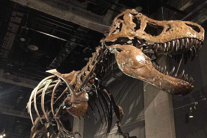 Nagoya Half-day Private Custom Tour with National Licensed Guide - Practical Details: Experience, Cost, and Comfort