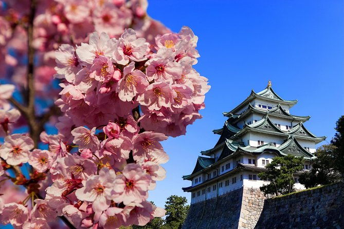 nagoya-half-day-tour-with-a-local-100-personalized-private