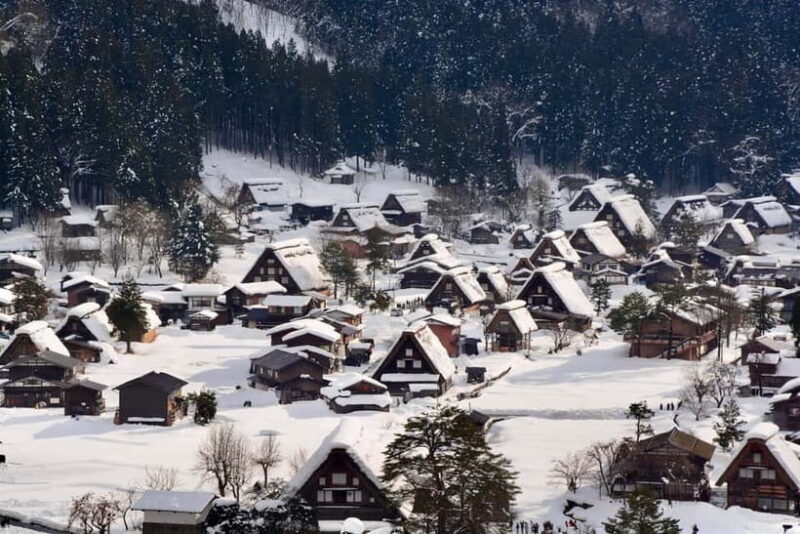 Nagoya: Hida Takayama & Shirakawa-go Tour w/Optional Lunch - Pricing and Overall Value