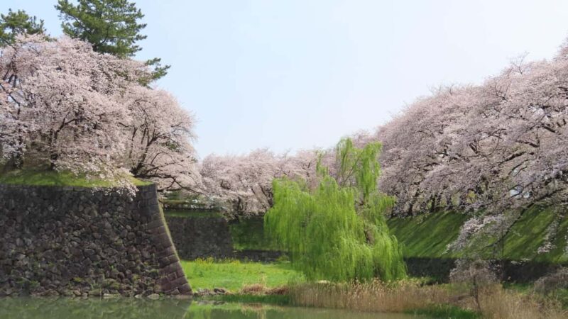 Nagoya Industry and History Tour - An Introduction to Nagoya’s Industrial and Cultural Scene