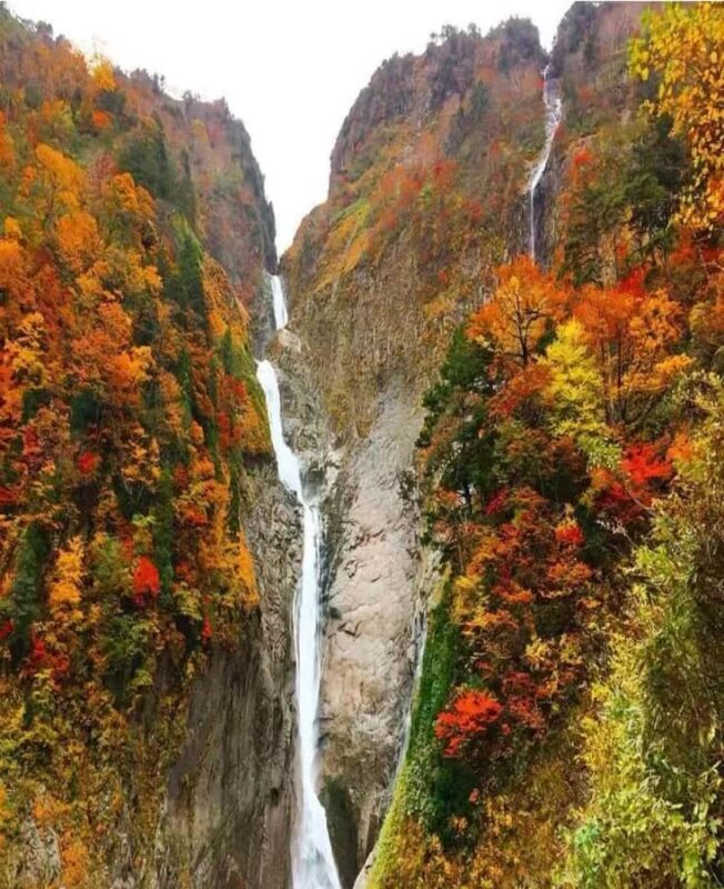 Nagoya: Kamikochi Autumn Hiking & Photography Tour - FAQ