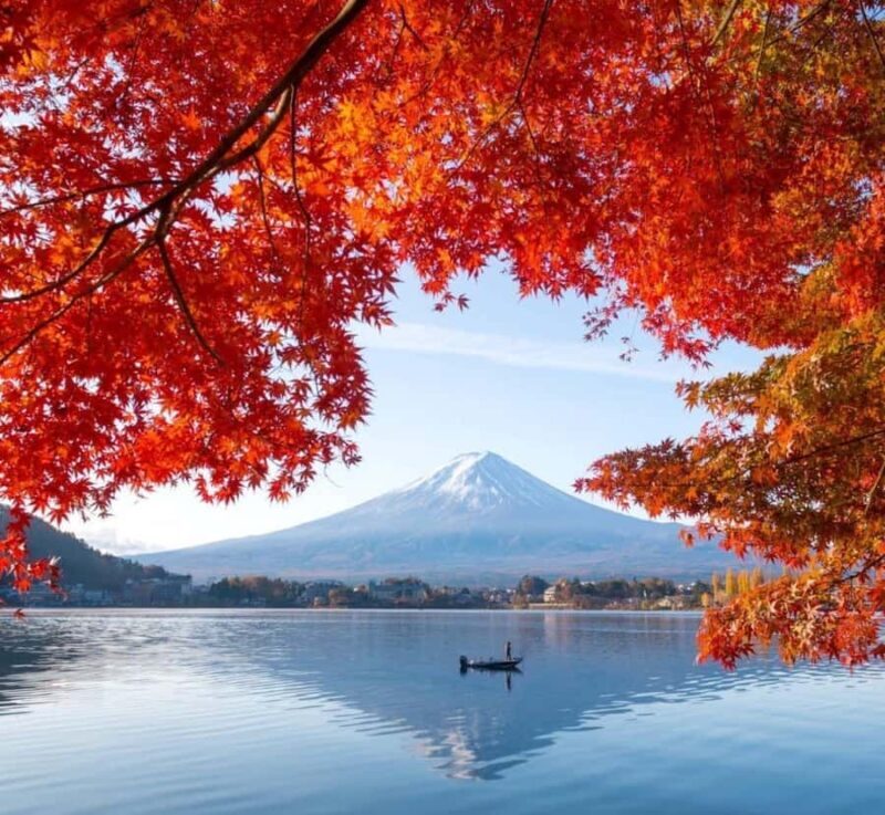 Nagoya: Mount Fuji Private Full-Day Scenic Tour With Guide - Key Points