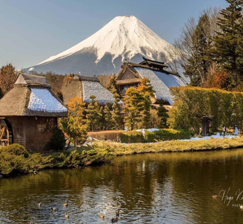 Nagoya: Mount Fuji Private Full-Day Scenic Tour With Guide - Final Thoughts