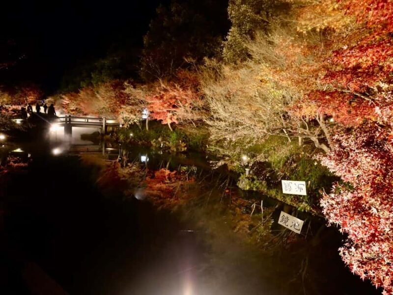 Nagoya: Nagashima Outlet Mall & Nabana no Sato Park Trip - Key Points