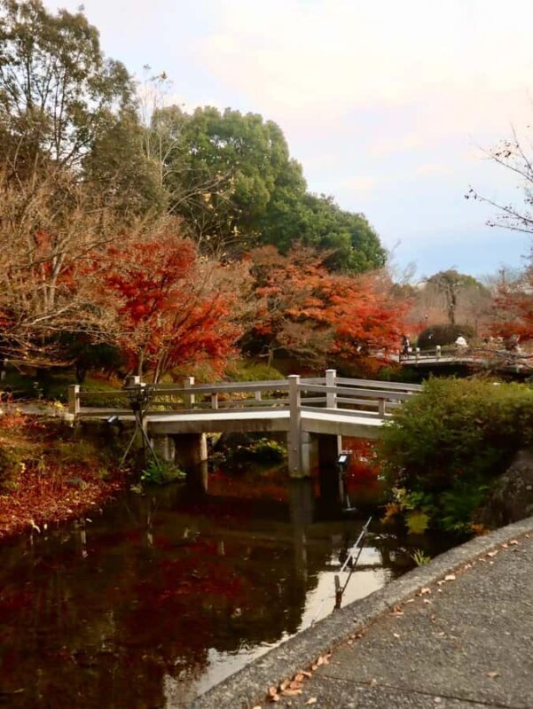 Nagoya: Nagashima Outlet Mall & Nabana no Sato Park Trip - An Overview of the Itinerary