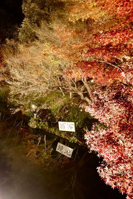 nagoya-nagashima-outlet-mall-nabana-no-sato-park-trip