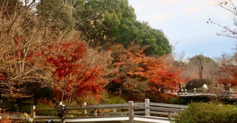 nagoya-nagashima-outlet-mall-nabana-no-sato-park-trip