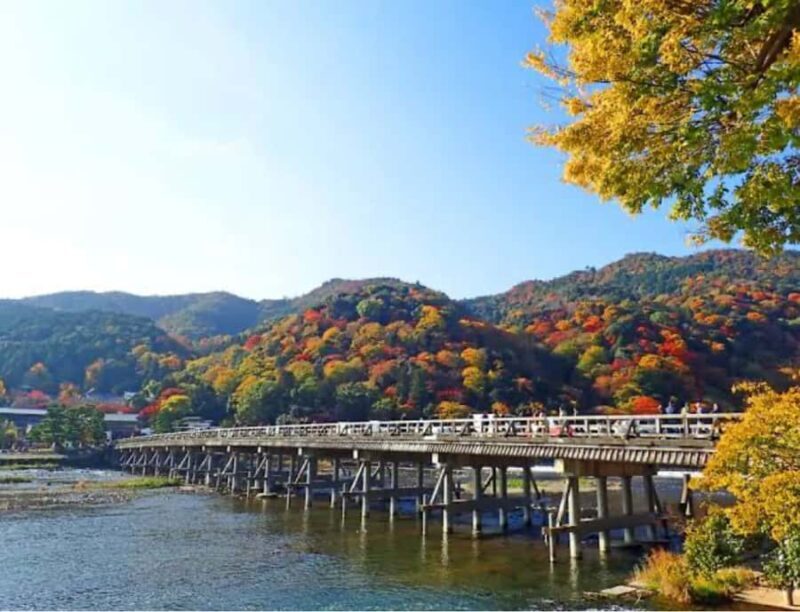 Nagoya: Private Kyoto Day Trip with Guide and Driver - A Closer Look at the Itinerary and Experience