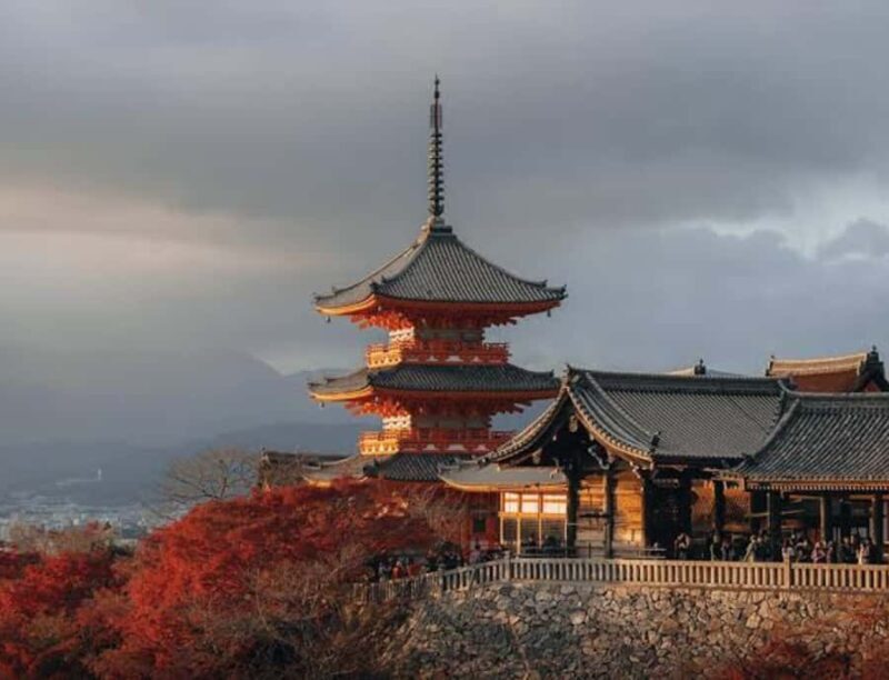 Nagoya: Private Kyoto Day Trip with Guide and Driver - Critical Aspects & Practical Tips