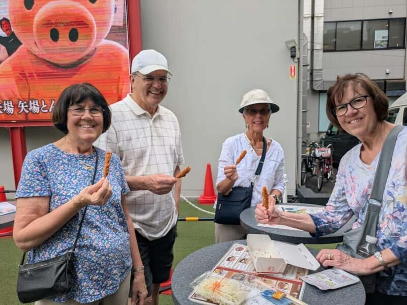 Nagoya Private Tour  Nationally Licensed Guide & Car - Key Points