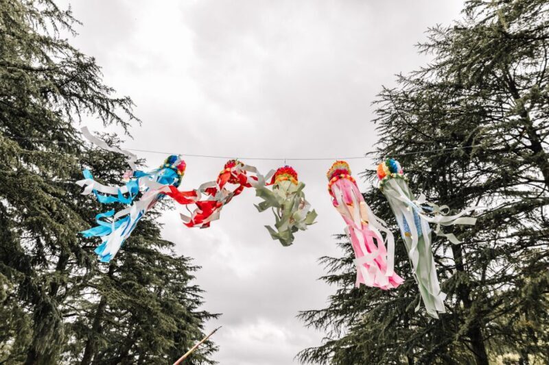 Nagoya Private Tour with a Local: Highlights & Hidden Gems - The Experience of Walking with a Local Guide