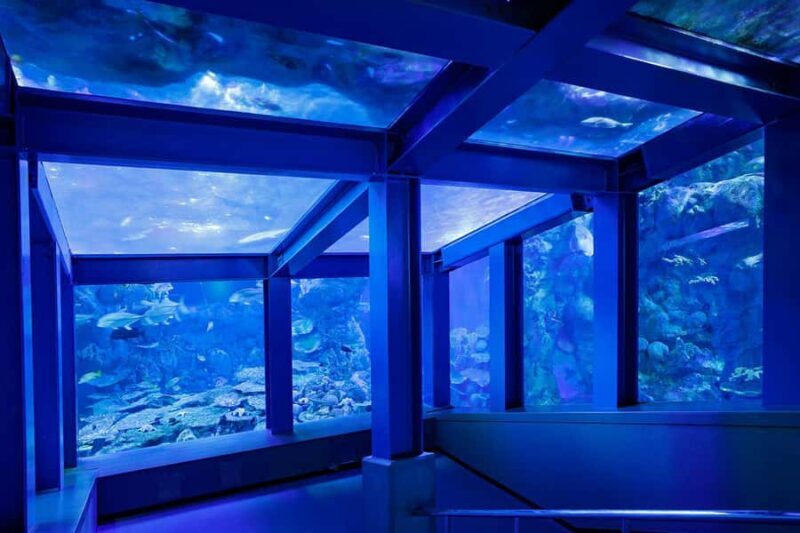 Nagoya Return, Ise Shrine, Mikimoto Pearl Island & Toba Tour - Additional Practical Details