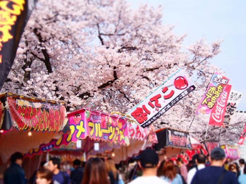 Nagoya Sakura Tour - Exploring Nagoya’s Cherry Blossom Charm