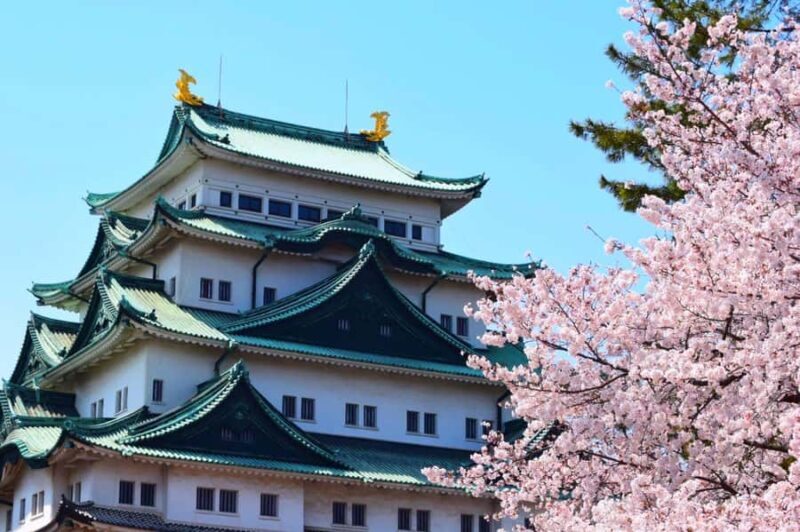 Nagoya Sakura Tour - Pricing and Value
