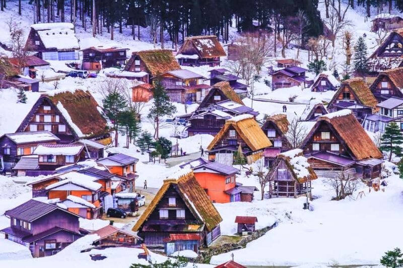 Nagoya: Shirakawa-go & Hida Takayama Old Streets Day Tour - An In-Depth Look at the Tour