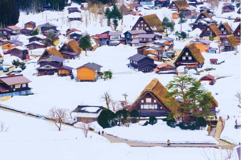 Nagoya: Shirakawa-go & Hida Takayama Old Streets Day Tour - Who Would Love This Tour?