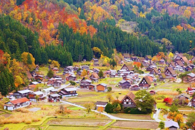 Nagoya: Shirakawa-go & Hida Takayama Old Streets Day Tour - FAQs