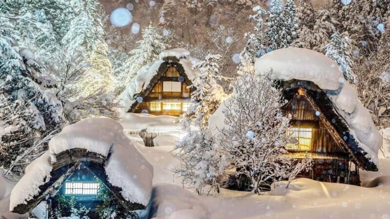 Nagoya : Shirakawa-go Magical Heritage & Takayama Day Tour - A Detailed Breakdown of What to Expect