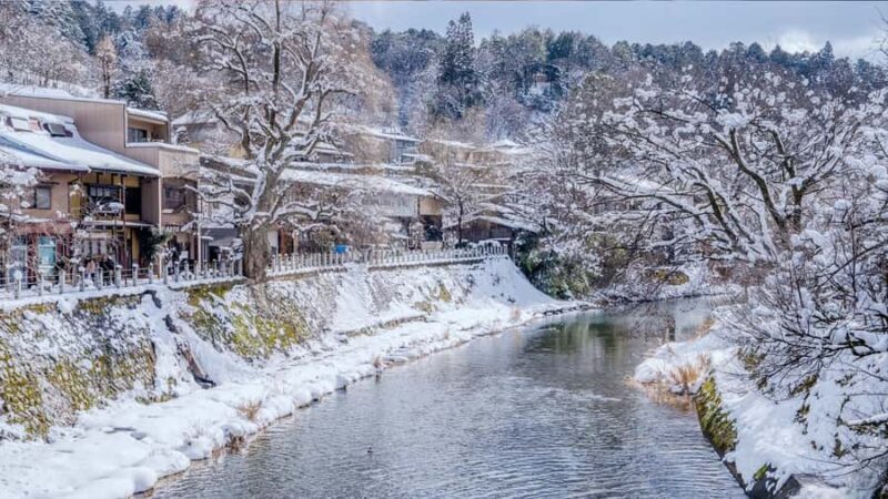 Nagoya : Shirakawa-go Magical Heritage & Takayama Day Tour - Final Thoughts