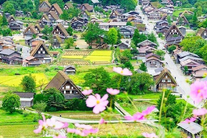 Nagoya Shirakawa go Private Transportation with English Driver - Why choose the Nagoya Shirakawa-go Private Transportation Tour?