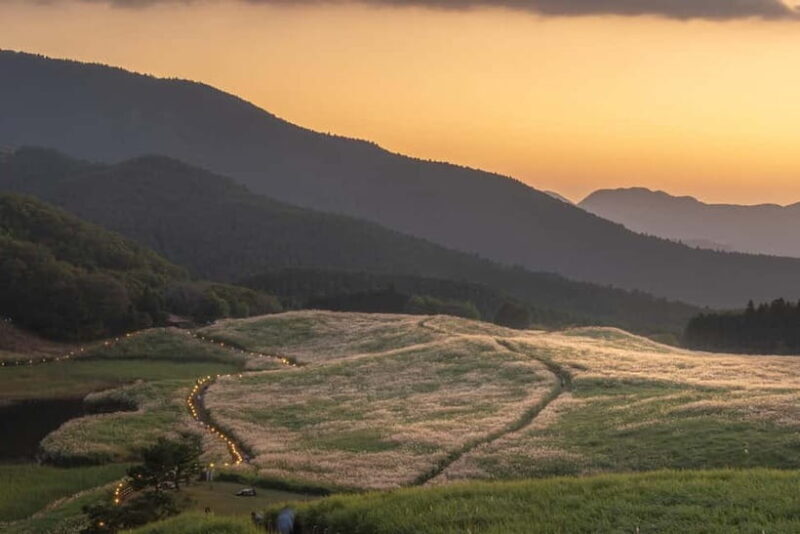 Nagoya: Soni Highlands & Akame 48 Waterfalls Guided Hike - Key Points