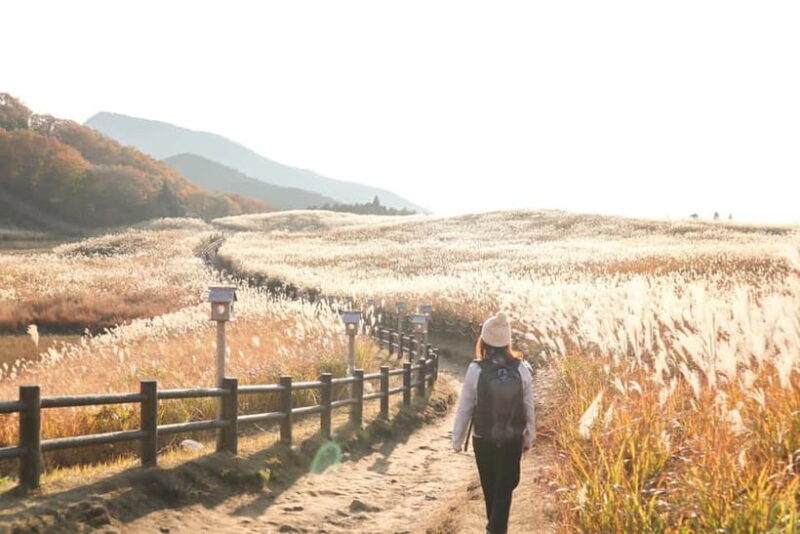 Nagoya: Soni Highlands & Akame 48 Waterfalls Guided Hike - Exploring Nagoya’s Natural Wonders