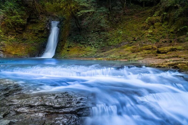 Nagoya: Soni Highlands & Akame 48 Waterfalls Guided Hike - Akame 48 Waterfalls: A Cascade of Natural Beauty