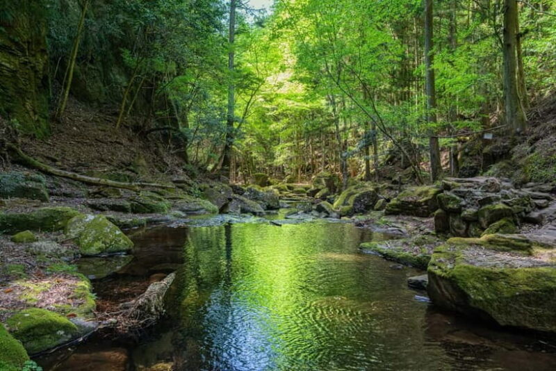 Nagoya: Soni Highlands & Akame 48 Waterfalls Guided Hike - Frequently Asked Questions (FAQs)