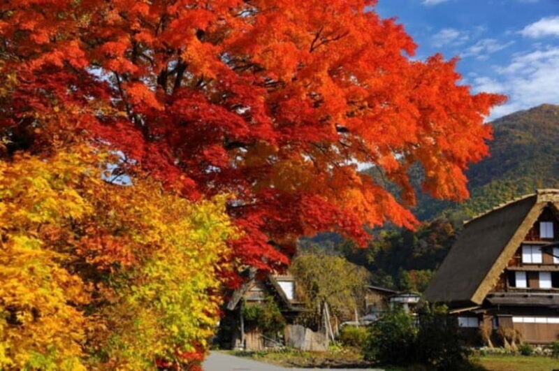 Nagoya: Takayama & Shirakawa-go Day Trip w/ Hida Pork Lunch - Exploring Takayama’s Old Town