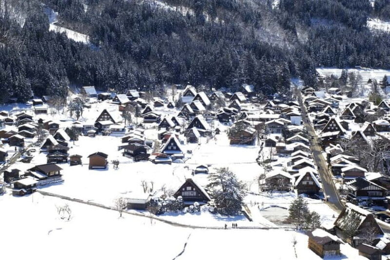 Nagoya: Takayama & Shirakawa-go Day Trip w/ Hida Pork Lunch - Practicalities and Logistics