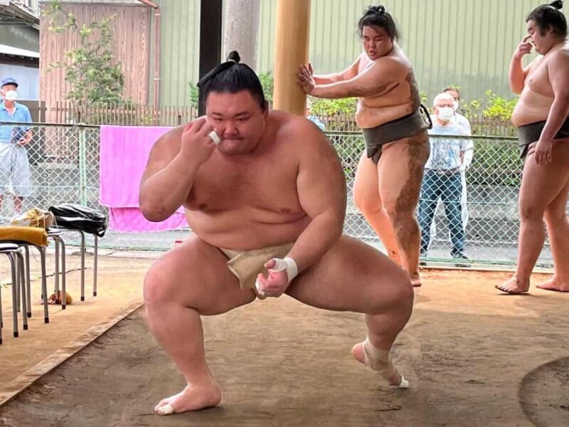 Nagoya: Visit Sumo Morning Practice with English Guide - What Makes This Tour Special?