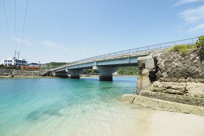 Naha and South Okinawa Private  Hour Tour with Local Guide - Who Should Consider This Tour?