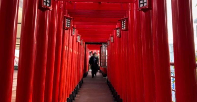 naha-guided-e-bike-tour-of-the-12-zodiac-temples
