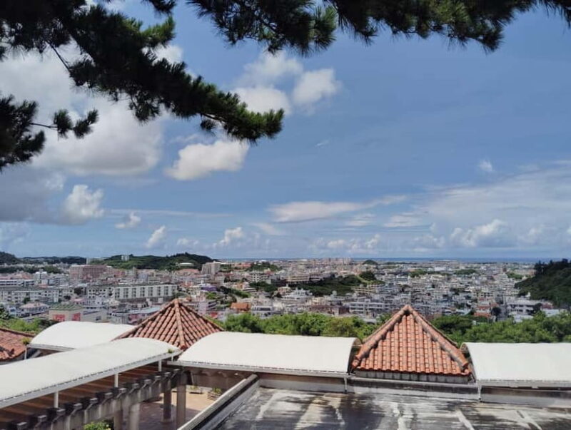 Naha: Journey into Okinawas WWII Navy Underground HQ - Who Is This Tour Best For?