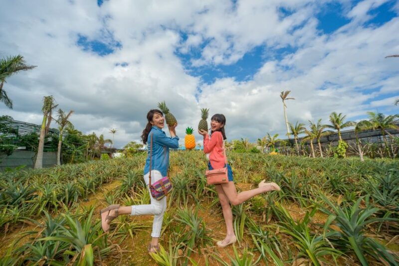 naha-north-okinawa-sightseeing-tour-churaumi-aquarium