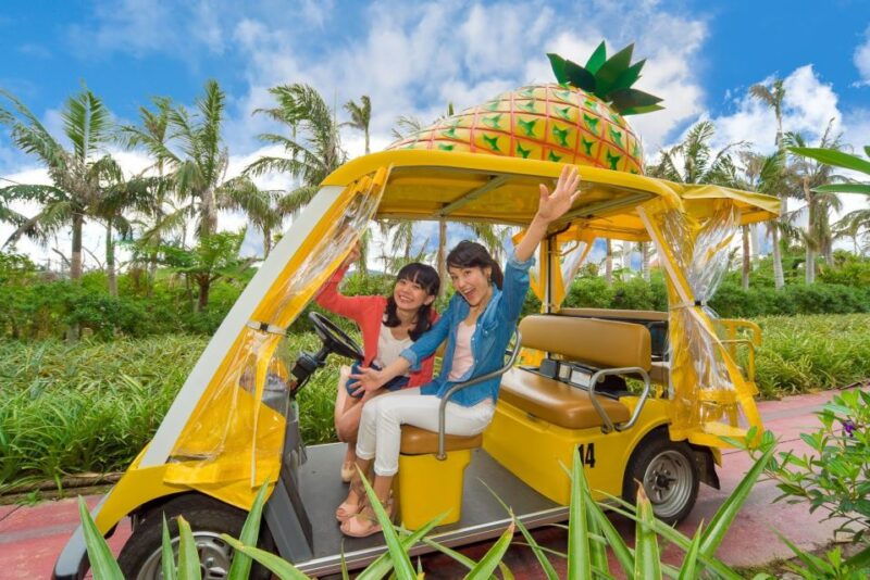naha-north-okinawa-sightseeing-tour-churaumi-aquarium