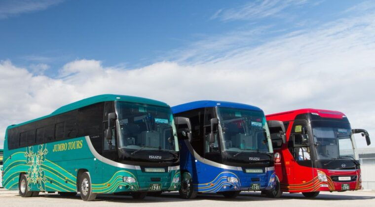 naha-north-okinawa-sightseeing-tour-churaumi-aquarium