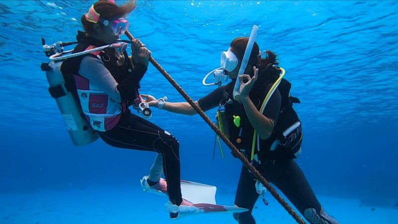 naha-okinawa-kerama-islands-full-day-intro-diving-trip
