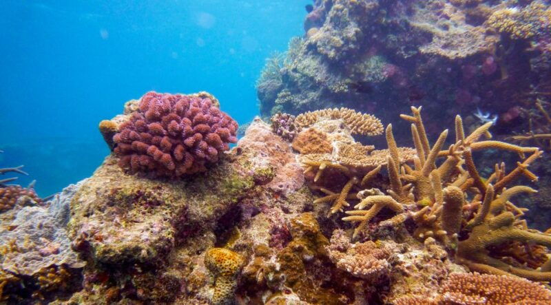 naha-okinawa-kerama-islands-full-day-intro-diving-trip