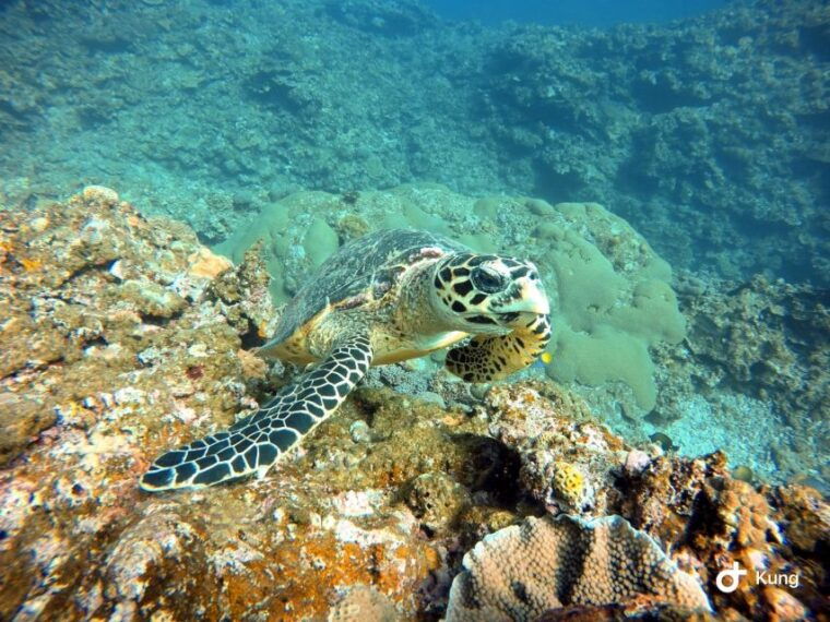 naha-okinawa-kerama-islands-full-day-intro-diving-trip