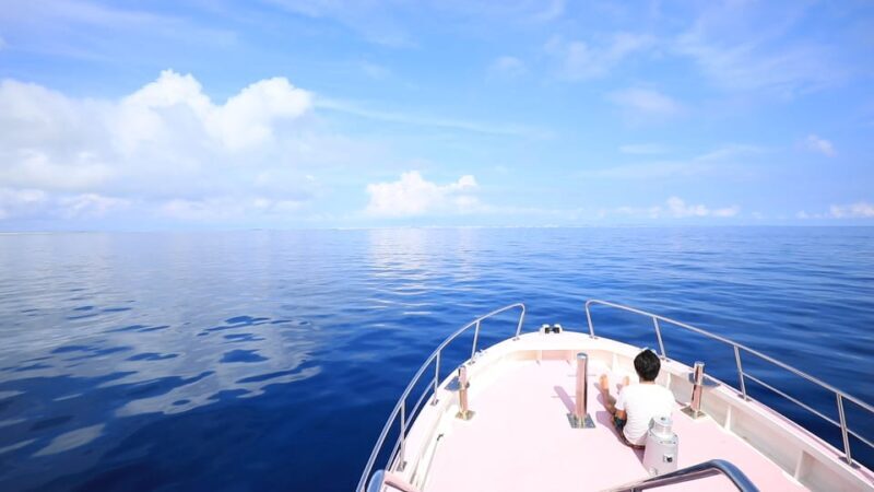 Naha, Okinawa: Kerama Islands Half-Day Whale Watching Tour - Experience Overview and Practical Details