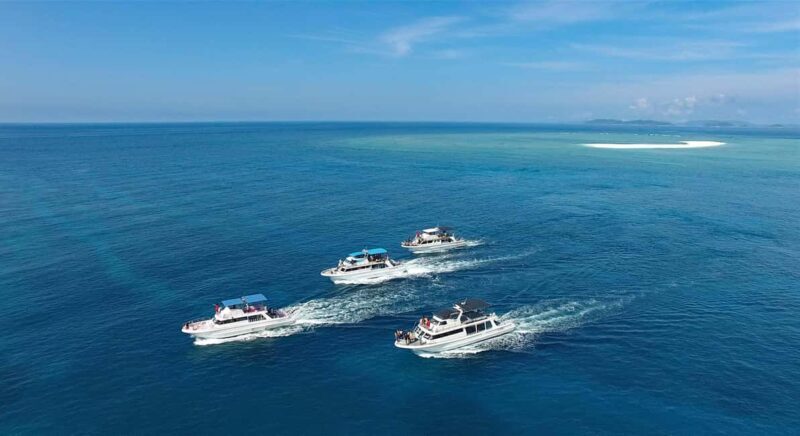 Naha, Okinawa: Kerama Islands Half-Day Whale Watching Tour - Real Experiences and Authentic Insights from Reviews