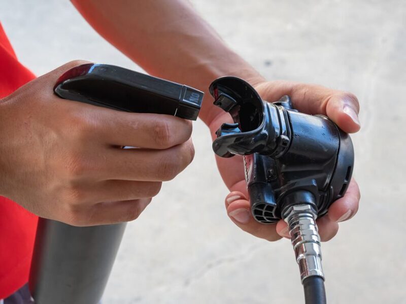 Naha, Okinawa: Kerama Islands Half-Day Whale Watching Tour - Wrapping It Up