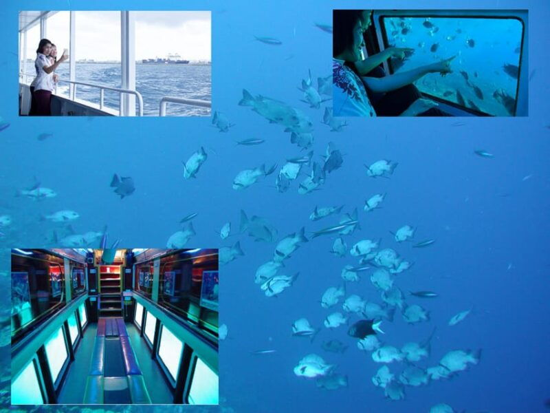 naha-orca-spotting-glass-bottom-boat-and-sams-famous-steak
