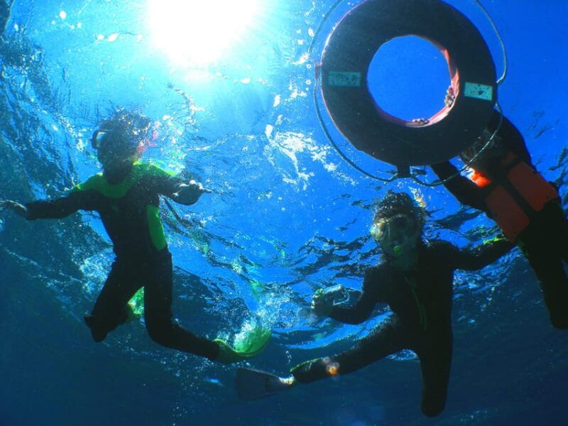 naha-snorkeling-kerama-islands-limited-time-whale-watching