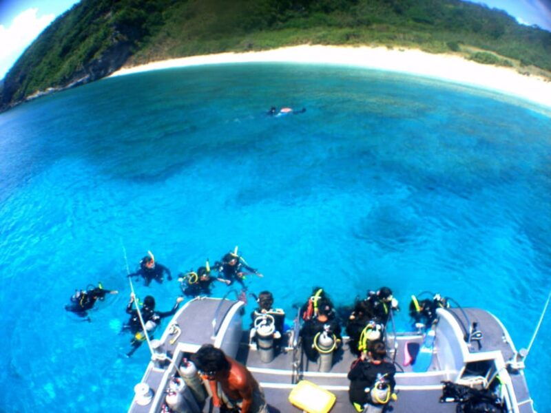 naha-snorkeling-kerama-islands-limited-time-whale-watching