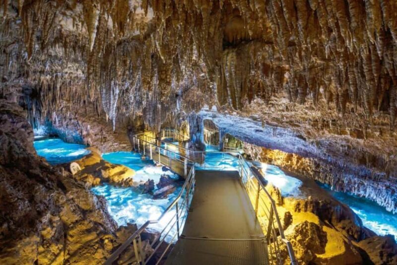 Naha: Southern Okinawa,Scenic view,fruit picking,BBQ Lunch - Who This Tour Is Perfect For