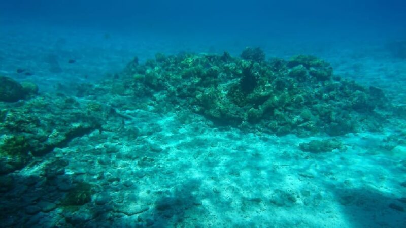 Naha: Tokashiki Day Trip & Kerama Islands Scuba Diving Trip - Key Points