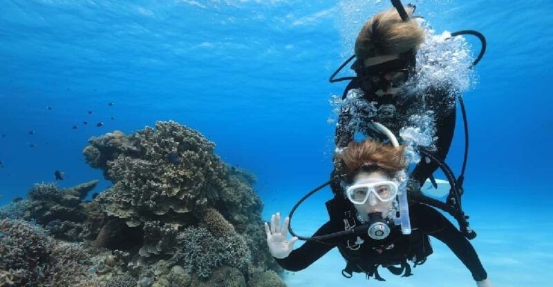 naha-tokashiki-day-trip-kerama-islands-scuba-diving-trip